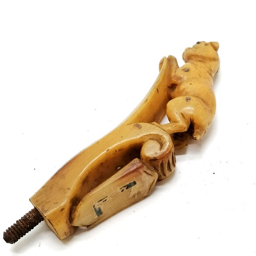 653 - Antique carved horn figural dog walking stick handle, 11cm long, no splits, cracks or losses