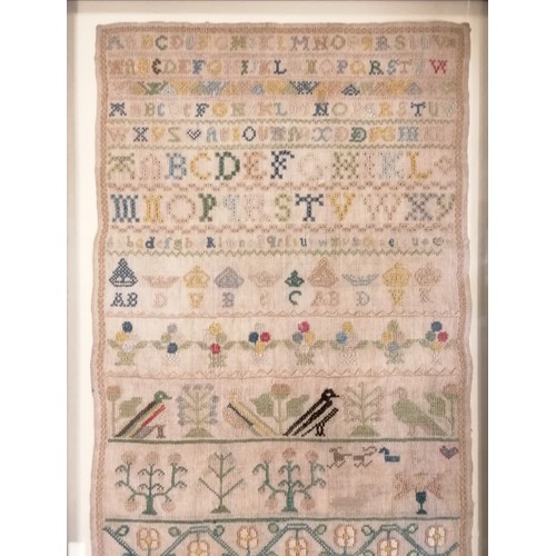 103 - 1749 framed sampler by Mary Trivet aged 9 - frame 50cm x 27cm and is in good overall condition