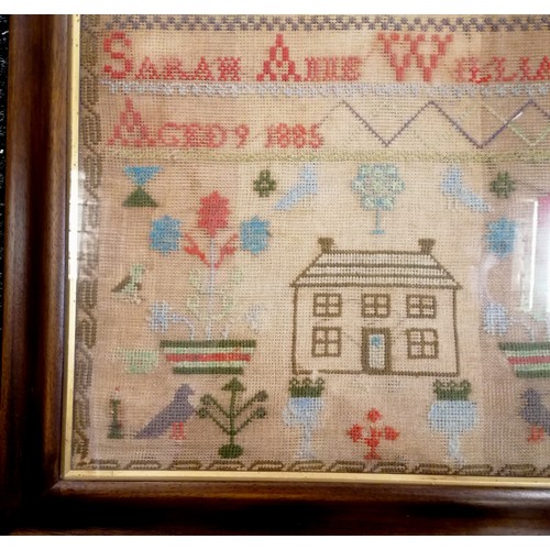 106 - 1885 framed sampler by Sarah Anne Williams (aged 9) - 67cm x 53cm - 2 small holes to the bottom.