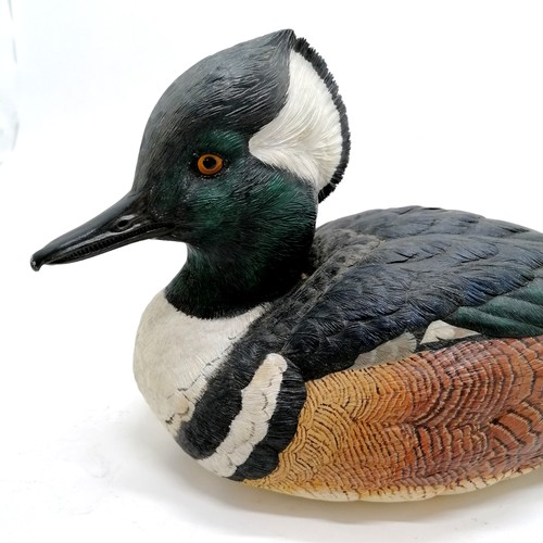 14 - Carved painted wooden figure of a male hooded merganser - 31cm long and has a makers mark dated 2008... 