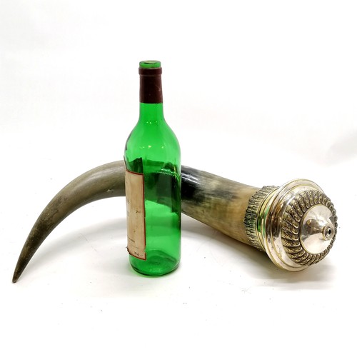 55 - Metal mounted cow horn - 42cm across - has losses to plating and the horn has number 21128 impressed... 