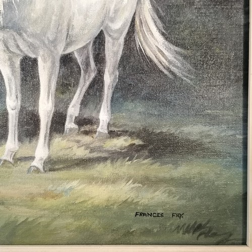 232 - Framed oil painting on canvas of 3 white horses by Frances Fry - frame 64cm x 54cm (loose in frame)