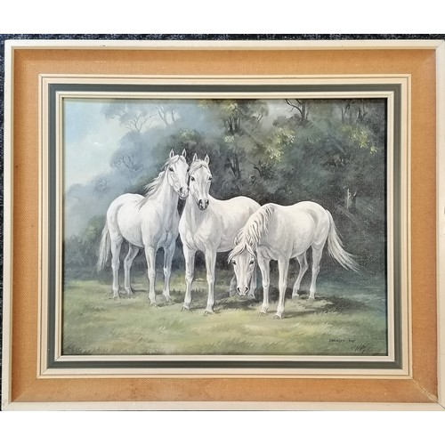 232 - Framed oil painting on canvas of 3 white horses by Frances Fry - frame 64cm x 54cm (loose in frame)