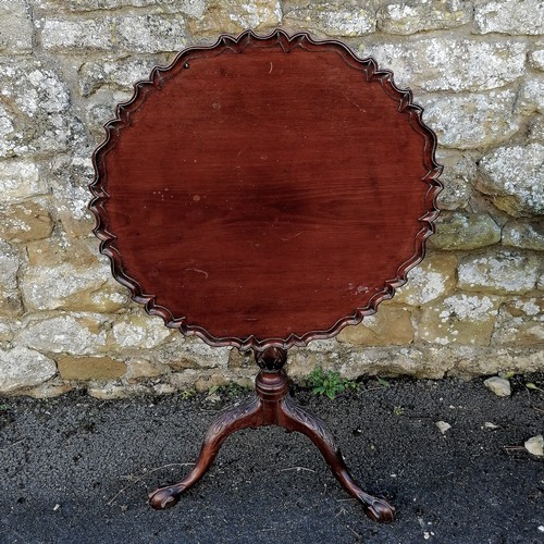 381 - Antique mahogany pie crust tilt top table 71cm diameter