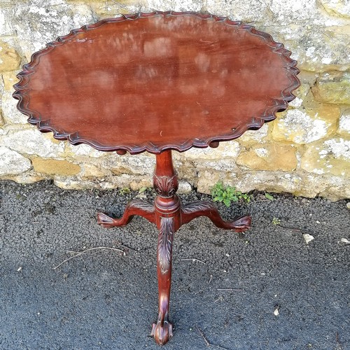 381 - Antique mahogany pie crust tilt top table 71cm diameter