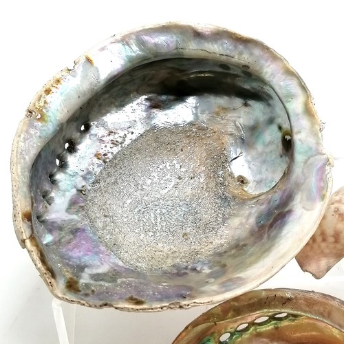 398 - 3 x abalone shells (largest 19cm x 16cm and has crack & chip), amethyst geode etc