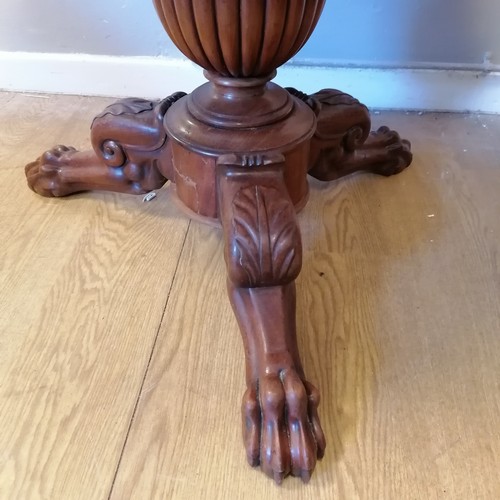 482 - Antique mahogany marble topped circular peddastool centre table. With lion paw detail to the feet. W... 