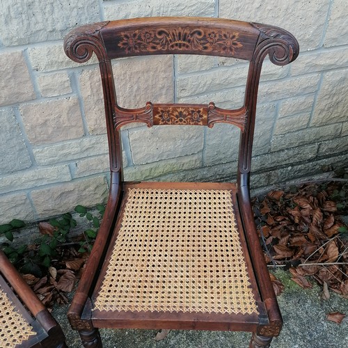 501 - A Pair of Regency Rosewood and marquetry chairs with bergere seats 84 cm hiugh, 45 cm wide, 40 cm de... 