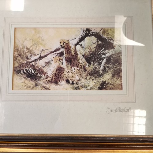 509 - David Shepherd cheetah print (faded) signed in pencil 41 cm x 34 cm, t/w signed & framed watercolour... 