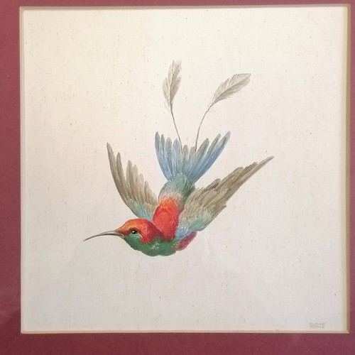 68 - 4 x framed watercolour painting studies of exotic birds by Claire Rome - 39cm square