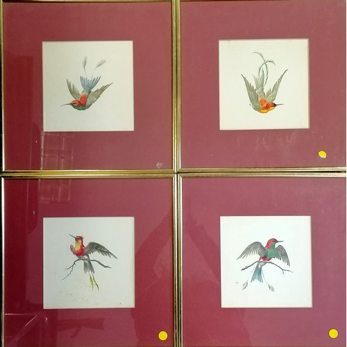 68 - 4 x framed watercolour painting studies of exotic birds by Claire Rome - 39cm square