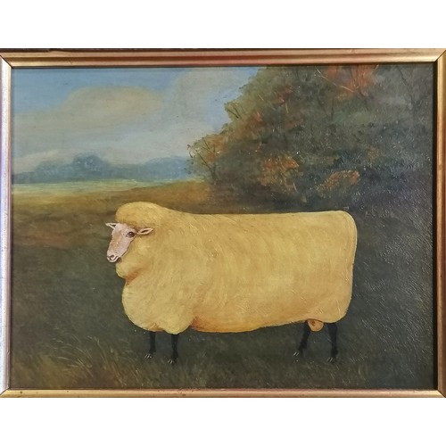 73 - Framed oil painting on board of a sheep - frame 30cm x 36cm