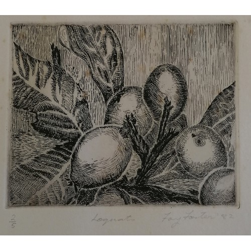 81 - 2 x framed Fay Foster engravings - 1981 Tree Portrait I (#2/10) & 1982 Loquats (#2/5) - largest fram... 