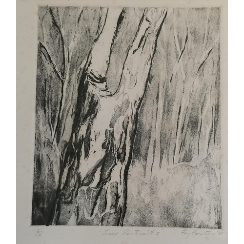 81 - 2 x framed Fay Foster engravings - 1981 Tree Portrait I (#2/10) & 1982 Loquats (#2/5) - largest fram... 