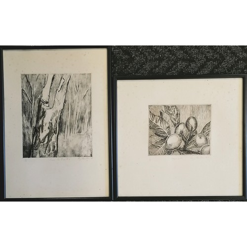 81 - 2 x framed Fay Foster engravings - 1981 Tree Portrait I (#2/10) & 1982 Loquats (#2/5) - largest fram... 