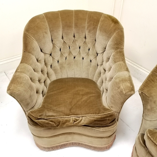 135 - Curved button back sofa and armchair upholstered in brown, with feather loose seat cushions. chair 7... 