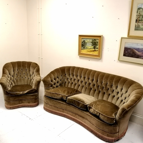 135 - Curved button back sofa and armchair upholstered in brown, with feather loose seat cushions. chair 7... 