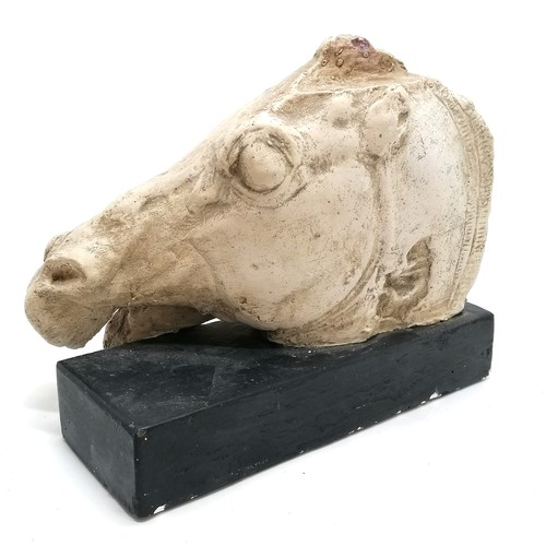 143 - Plaster horses head on a black base 30cm long x 26cm high