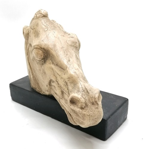 143 - Plaster horses head on a black base 30cm long x 26cm high