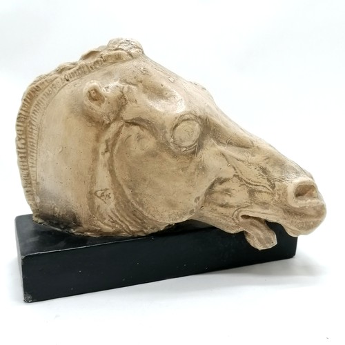 143 - Plaster horses head on a black base 30cm long x 26cm high