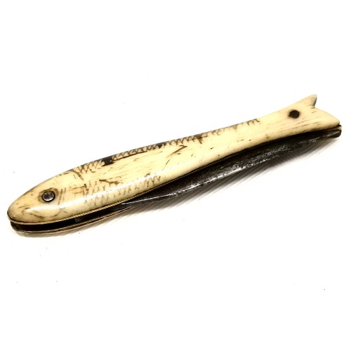 205 - Antique French novelty pocket knife in the form of a fish by A&G and has scrimshaw detail to the bon... 