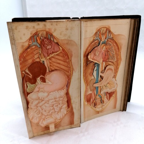 234 - 1877 French book 'Structure et Physiologie de l'homme' by Achille Comte (1802-66) complete with 6 pl... 