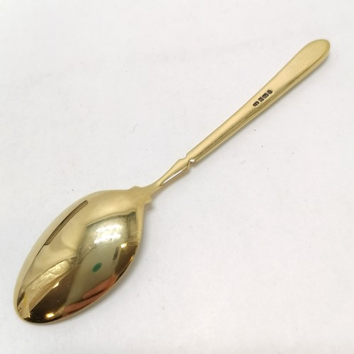 359 - Sterling silver 'The Worshipful Society of Apothecaries' enamel spoon with Dürer's Rhinoceros crest ... 