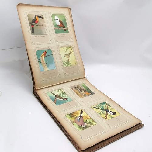 420 - Post card album containing 120 x bird postcards of P Sluis Birdfood Weesp Netherlands ~ all have han... 