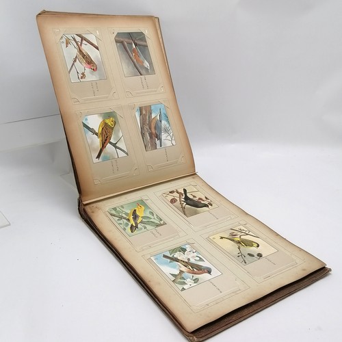 420 - Post card album containing 120 x bird postcards of P Sluis Birdfood Weesp Netherlands ~ all have han... 