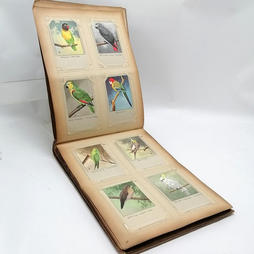 420 - Post card album containing 120 x bird postcards of P Sluis Birdfood Weesp Netherlands ~ all have han... 