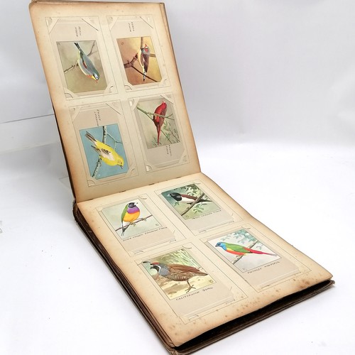 420 - Post card album containing 120 x bird postcards of P Sluis Birdfood Weesp Netherlands ~ all have han... 