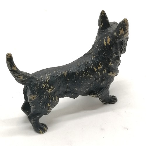 531 - Cold painted bronze figure of a scottie dog - 8cm across x 5.5cm high ~ some losses