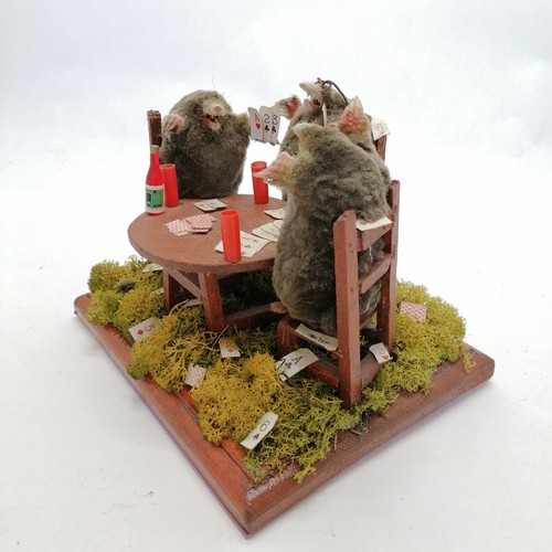 3 - Taxidermied 3 x moles playing cards and drinking blue nun - 20cm x 20cm x 18cm high