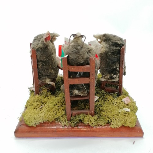 3 - Taxidermied 3 x moles playing cards and drinking blue nun - 20cm x 20cm x 18cm high