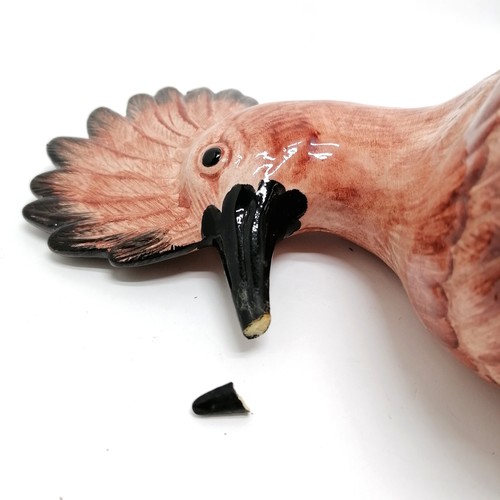 83 - Eximious Italy hoopoe figurine - 36cm high ~ end of beak broken off but present