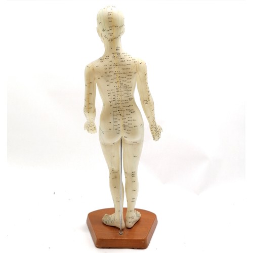 88 - Medical model showing Acupuncture points 48cm high- in good used condition