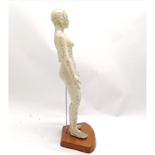 88 - Medical model showing Acupuncture points 48cm high- in good used condition