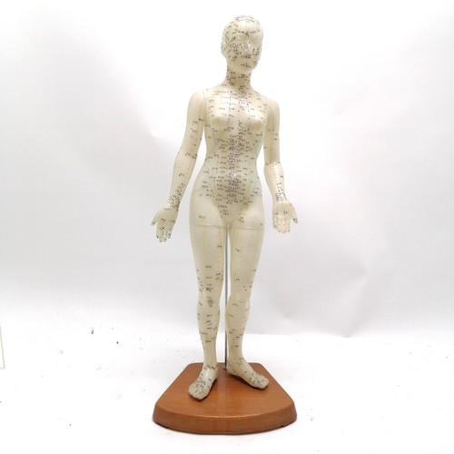 88 - Medical model showing Acupuncture points 48cm high- in good used condition