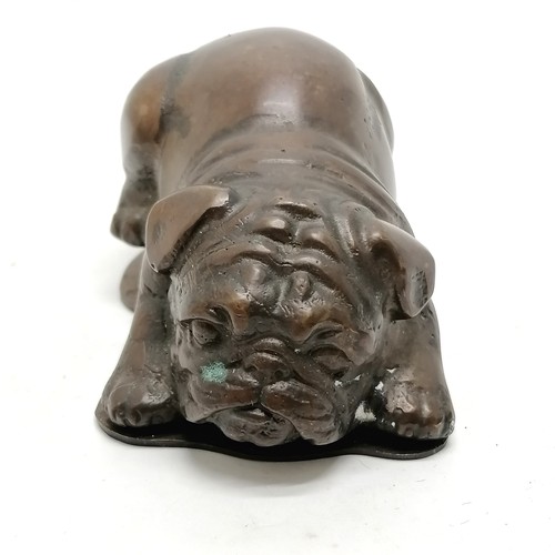 112 - Cast bronze bulldog clip in the form of a puppy 10cm long- No obvious damage