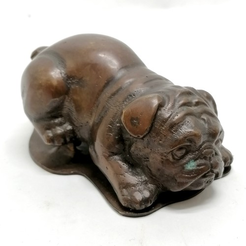 112 - Cast bronze bulldog clip in the form of a puppy 10cm long- No obvious damage