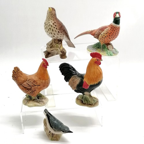 451 - 5 x Beswick bird figures - cockerel, chicken, thrush, nuthatch & pheasant - thrush 14cm high & a/f