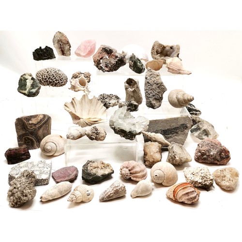 462 - Qty of fossils, rock samples, shells inc fish & shell fossil, quartz sample etc