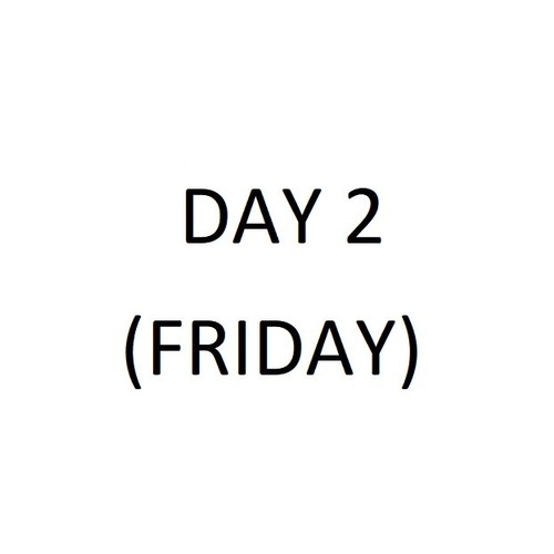 499 - Day 2 (Friday)