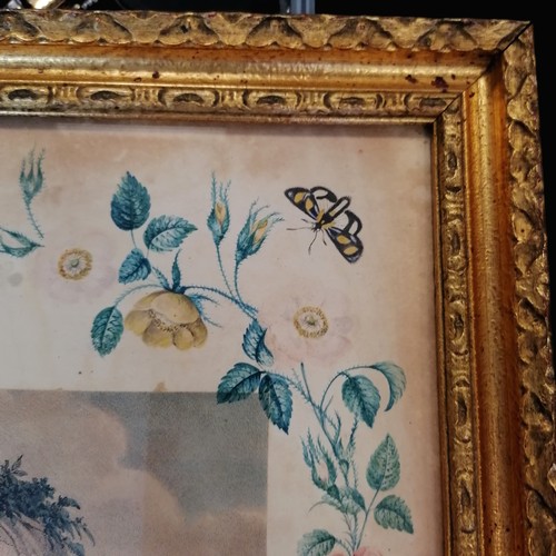 3 - Framed antique hand coloured etching of a gardener with hand painted border of flowers and butterfli... 