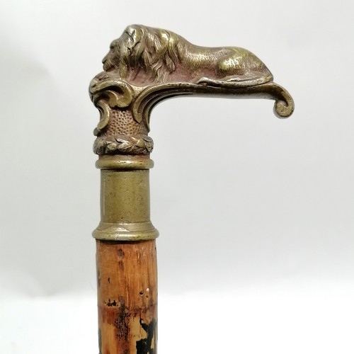 24 - Antique ebonised walking cane with bronze handle depicting a recumbent lion 84cm long- losses to the... 