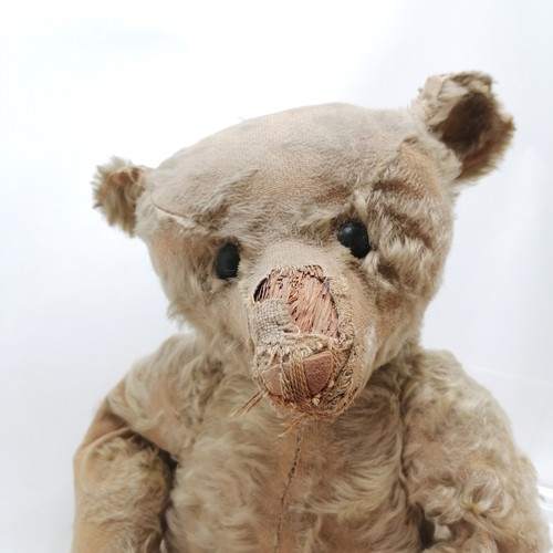 1 - c.1900 antique Steiff large jointed mohair bear with black button eyes and hump & long snout - 55cm ... 