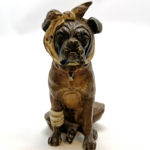 3 - Antique Vienna cold painted bronze figure of a bulldog with bandaged head & leg - 8.5cm high and sli... 