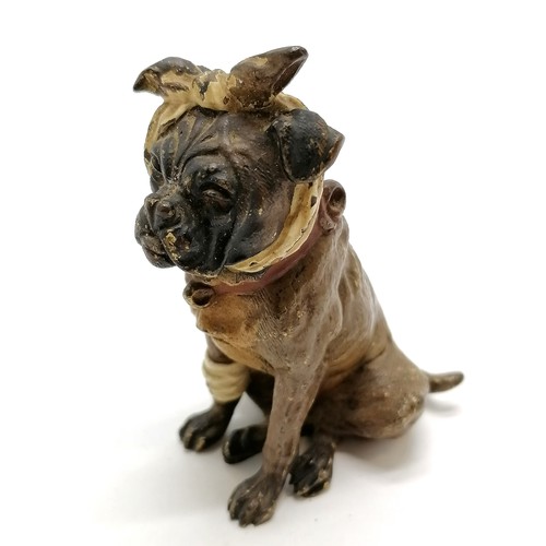 3 - Antique Vienna cold painted bronze figure of a bulldog with bandaged head & leg - 8.5cm high and sli... 