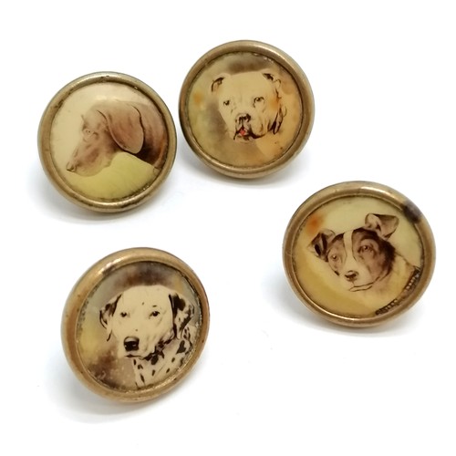 769 - Antique part set of novelty dog cufflinks / buttons in original Furber & Sons (Cheltenham) box