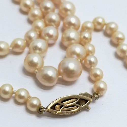 896 - Antique graduated cultured pearl necklace with 9ct gold pearl set clasp - 46cm long